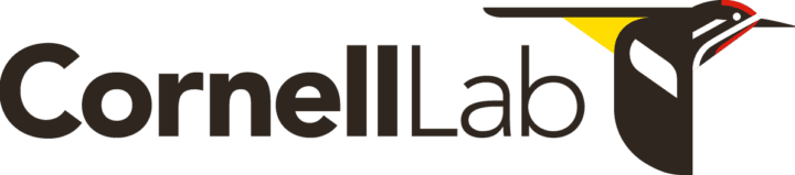 Cornell Lab